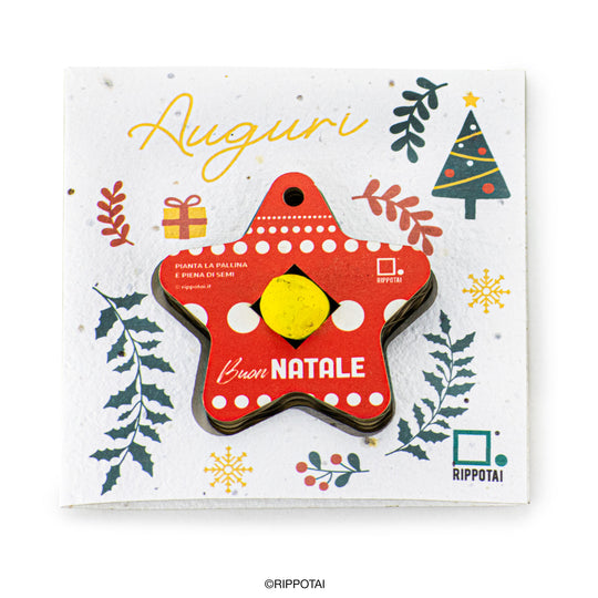 Regalo Solidale per Natale - Decorazioni Natalizie Ecologiche Piantabili