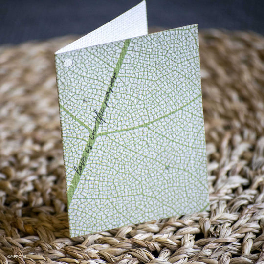 Releaf Plantable Paper Greeting Cards - Spring - Set of 8