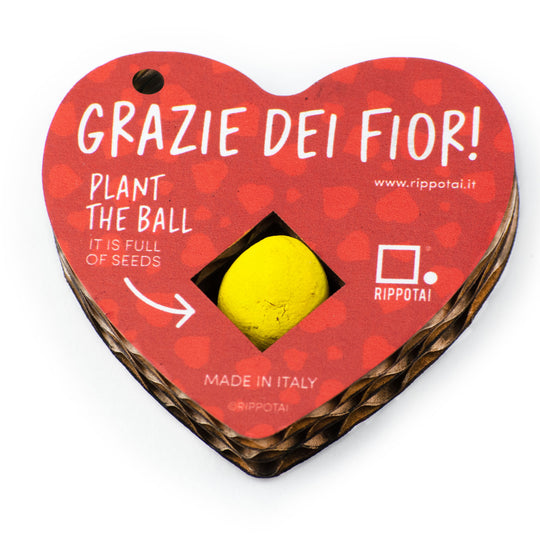 Cuori San Valentino – Portachiavi con Semi che Fioriscono -kit da 2