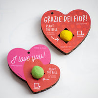 Cuori San Valentino – Portachiavi con Semi che Fioriscono -kit da 2